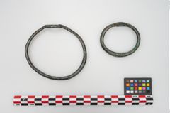 Foto von Bronzering (NHMW-PRAE-024572)